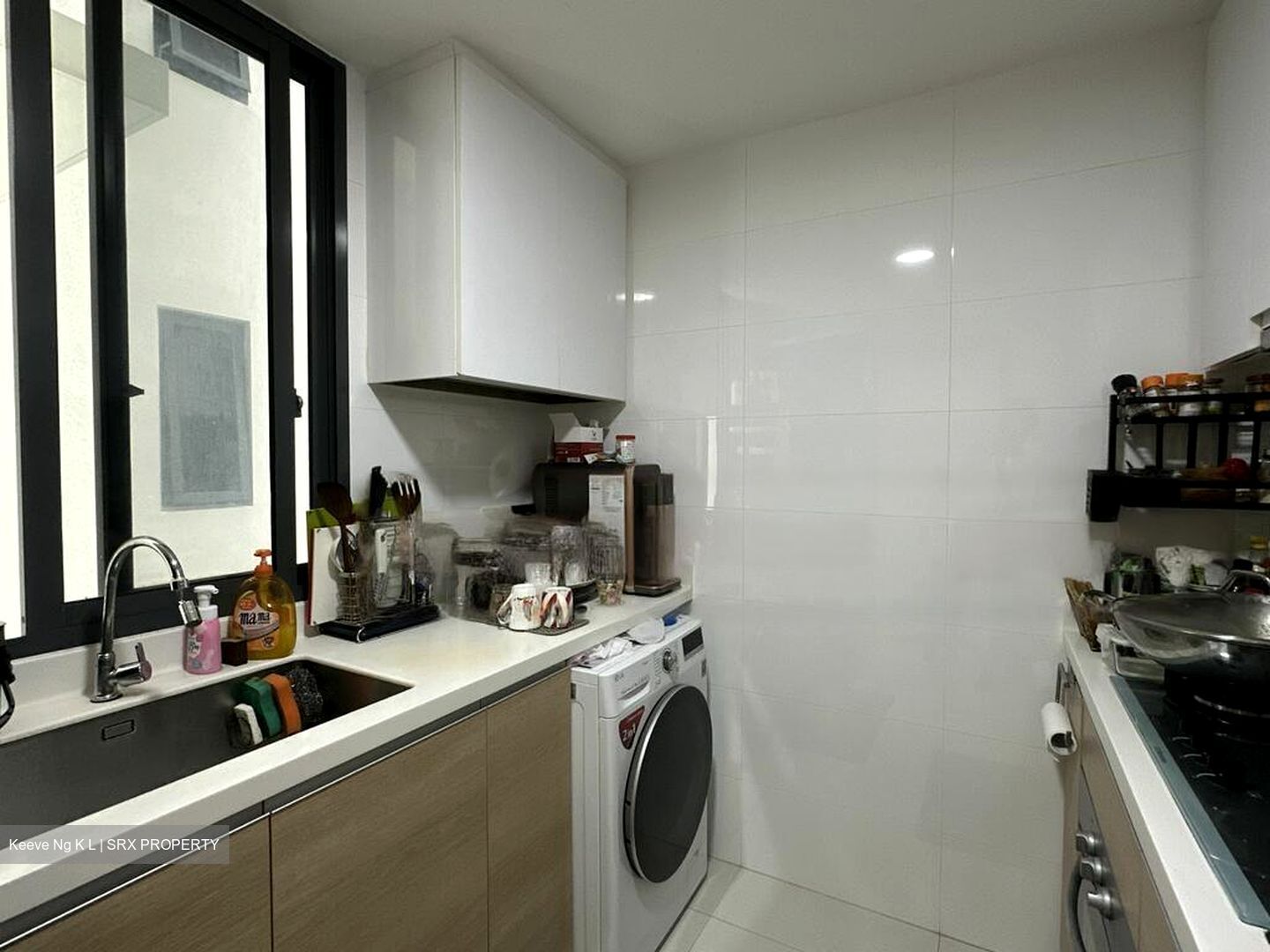 Boathouse Residences (D19), Condominium #474916651